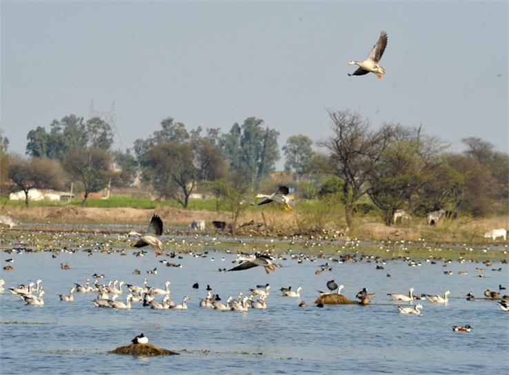 sultanpur park